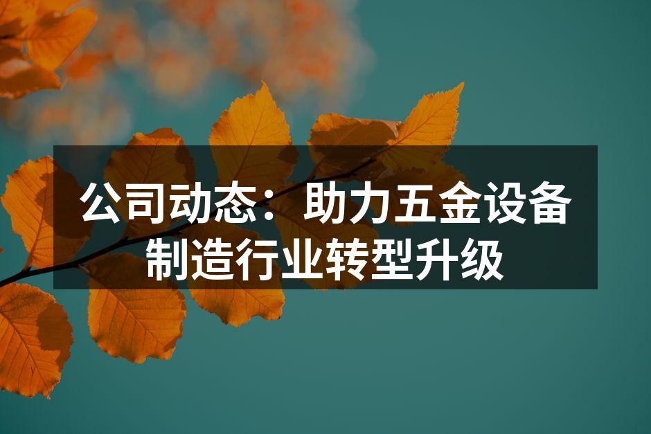 公司新生产线的全景